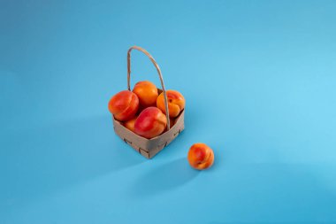 Geri dönüştürülmüş kağıt torbadan sepet kağıdı, DIY, adım adım talimatlar, yaz projesi fikirleri