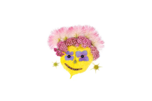 Смішне Обличчя Рожевими Квітами Голові Висушених Квітів Коханої Королеви Літнього — стокове фото