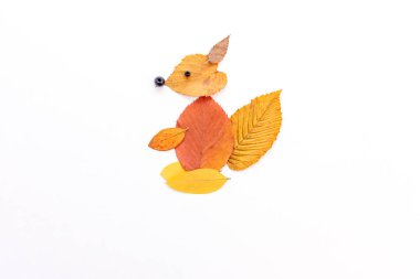 Çocuklar için kolay doğa zanaatı, yapraklardan yapılmış kaplumbağa, sonbahar zanaatı fikirleri, DIY, öğretim, adım adım, beyaz bir yüzeyde yapraklardan yapılmış bir sincap veya tilki., 