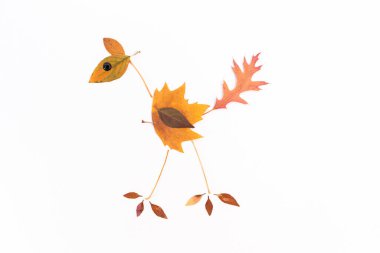 Çocuklar için kolay doğa zanaatı, yapraklardan yapılmış kaplumbağa, sonbahar zanaatı fikirleri, DIY, öğretim, adım adım, 