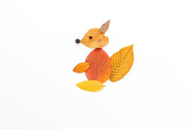 Çocuklar için kolay doğa zanaatı, yapraklardan yapılmış kaplumbağa, sonbahar zanaatı fikirleri, DIY, öğretim, adım adım, 