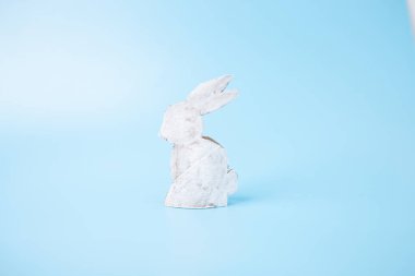 Çocuk ve anaokulu, DIY, özel ders, ilkbahar oyuncağı, geri dönüşüm sanatı için tuvalet kağıdı rulosu konsepti 