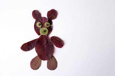 Beyaz yüzeydeki yapraklardan yapılmış oyuncak ayı, ekolojik sanat. İçinde kestane rengi sebze yaprakları var. Doğa, çocuklar için mükemmel yaratıcılık ve çevresel farkındalığı harmanlıyor..