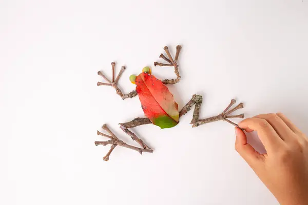 stock image Hand placing last piece of craft frog made from natural materials on white background. Demonstrates repurposing everyday items into artistic animal form. Showcasing creativity and resourcefulness.