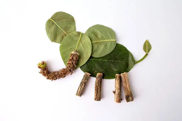 stock image Creative craft project using natural elements: leaves, twigs, seed pod, forming an elephant. Large leaf body, smaller leaf ears, seed pod trunk, twig legs. Simple, charming figure.