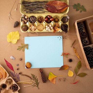 Okul sanat projesi için çeşitli doğa materyallerinin fotoğrafını, deniz mavisi, kahverengi kağıt, tohum ve botanik elementlerle birlikte masaya koyun, sonbahar ortamı yüksek açılı,.
