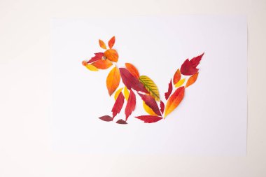 Sonbahar yaprakları beyaz kağıtta bir tilki şekline bürünür. Mevsimlik yaprak sanatının düz kompozisyonu. Doğa ilham verici ve yaratıcı zanaat konsepti. Posterler, tebrik ve kartpostallar için tasarım, DIY