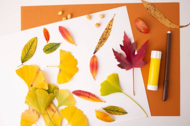 Sonbahar yaprakları, sarı, kırmızı, yeşil, dağınık yapraklar, yaratıcı süreçte adım at, DIY, sonbahar projesi, üst görünüm