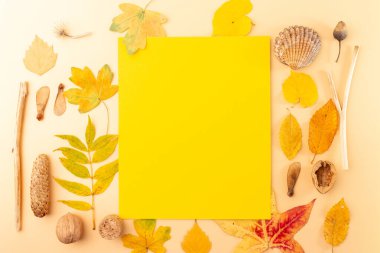 Şeftali arka planında sarı sonbahar yapraklarından yapılmış metin çerçevesi sonbahar yaratıcılığıyla doldurulmaya hazır. Çocuklar için doğal elementler