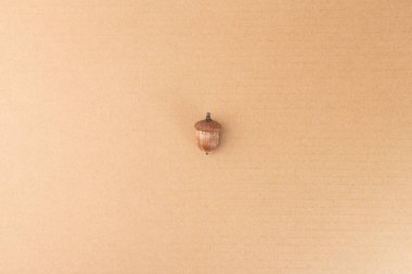 Tek bir meşe palamudu ya da meşe cevizi açık kahverengi bir arka planda oturur. Merkezde, kapağı hala bağlı. Bir meşe palamudunun farklı parçalarını incelemek için uygun. Yaratıcı projeye adım at, dersin görüntüsü