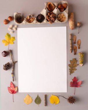 Boş bir kağıdı çevreleyen çeşitli doğal elementlerden oluşan düz bir döşeme. Yumuşak renkler yaratıcılığı ve doğayı vurgular