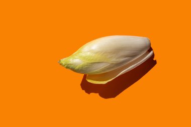 Abstract composition with endive on orange background clipart