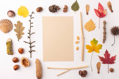 Mevsimsel doğa elementleri, genellikle sonbahar mevsiminde bulunan doğal elementlerin çeşitliliği ve güzelliği için kopyalama alanı ile organik bir çerçeve oluştururlar. Doğa yassı, beyaz arkaplan, 