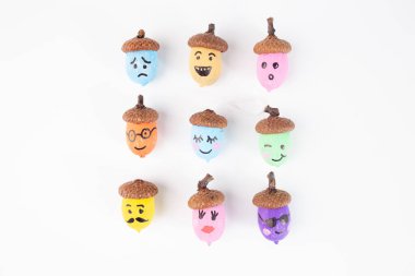 Dokuz meşe palamudu farklı renklere boyanmış ve üzerlerinde farklı yüz ifadeleri çizilmiş. Meşe palamutları beyaz arka planda 3x3 ızgara şeklinde dizilmiştir. Her meşe palamudunun kendine has bir ifadesi vardır.