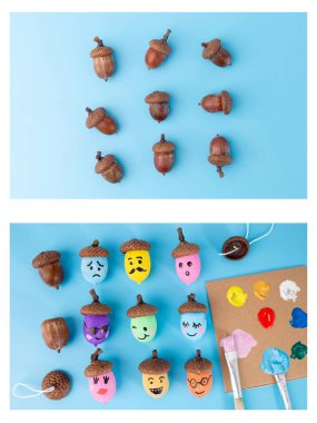 Açık mavi arkaplan üzerine iki bölüm çocuk eğitimi. Üst kısım meşe palamudunu gösteriyor, alt kısım ise çeşitli ifadelere sahip renkli meşe palamutlarını. Yaratıcı DIY kavramı.