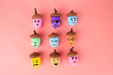 Dokuz meşe palamudu farklı renklerde boyanmış ve üzerlerinde farklı yüz ifadeleri çizilmiş.