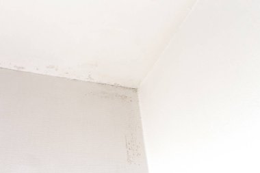 Pencere kenarındaki tavanda küf ve nem hasarı beyaz desenli yüzey, hava kalitesi sorunu ve kapalı küf sorunu konsepti, aşırı nem önleme farkındalığı, küf tutmuş duvarlar.