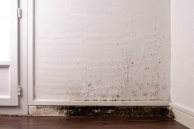 Beyaz desenli duvar kâğıdı ve koyu ahşap zeminli yatak odasının köşesinde siyah küf ve su hasarı olan duvar, kapalı alanda çevre sorunları önleme ve farkındalık kavramı,