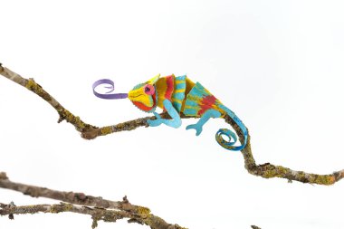 Dallara tünemiş canlı bukalemun, mavi, sarı, kırmızı, mor, kıvrık dil, sade beyaz arka plan, sanatsal doğal tasvir içeren canlı renkler