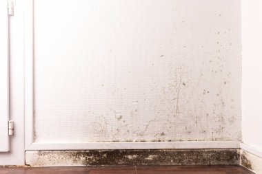 Aşırı nem sorunu, küflenmiş duvarlar, odanın köşesinde beyaz desenli duvar kâğıdı ve koyu ahşap zemini olan kara küf ve su hasarlı duvar..
