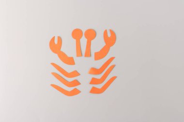 step in creative project, claws and legs made from orange paper, cut out details, top view, grey background, step by step instruction, DIY tutorial clipart