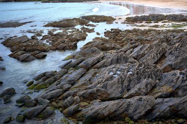 Detail of a sandy and rocky beach with calm waters.Uncrowded, Cantabria, Cantabrian Sea, sun, geology,