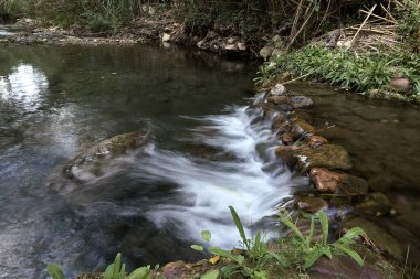 Bir dağ deresinde küçük bir şelale. uzun pozlama, ipek etkisi su, bitki örtüsü, insan yok, boşluk, kristal berrak su, sazlıklar, güneşli, açık renk