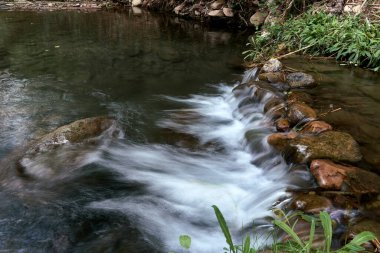 Bir dağ deresinde küçük bir şelale. uzun pozlama, ipek etkisi su, bitki örtüsü, insan yok, boşluk, kristal berrak su, sazlıklar, güneşli, açık renk