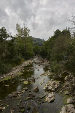 Bulutlu bir günde dağ deresi, bol sebzeli. Sakin ve berrak su, kayalar, dikey manzara, gri bulutlar, yağmurlu gün.