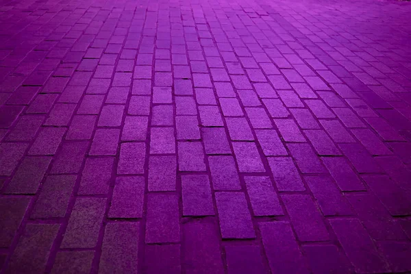 Hintergrund Rechteckige Kopfsteinpflasterstraße Mit Violettem Licht Niemand Parallel Senkrecht Perspektivische — Stockfoto