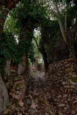Taş duvarlar ve ağaçlar arasındaki dağ yolu. Kuru taş yapı, sarmaşık, karanlık, yalnızlık, toprak.