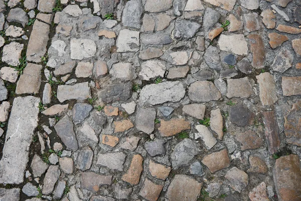 Detail Kamenné Cesty Rustikální Vesnici Šedé Nepravidelné Kameny Nikdo Prázdný — Stock fotografie