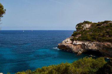 Uçurumları ve Akdeniz ormanları olan Mallorca plajı. Mavi gökyüzü, çam ağaçları, insan yok, yelkenliler, bulutsuz gökyüzü, sakin deniz.