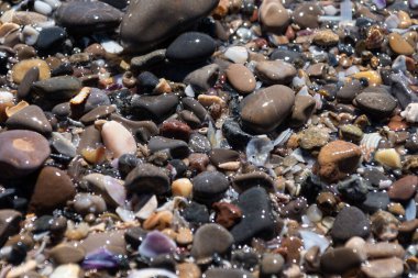 Deniz suyunun nazikçe kucaklaşmasıyla tamamlanmış renkler ve boyutlarda bir senfoni sergileyen, resmi bir sahil çakıl taşı topluluğu.