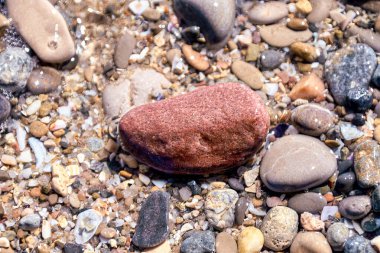 Çeşitli taşlar, boyut ve renk olarak, şeffaf bir deniz suyu tabakasının altında uzanır, büyüleyici bir kıyı mozaiği yaratır.
