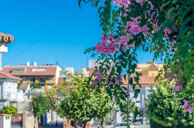 Fuengirola kasabasında çiçekli bir sokak, Costa del Sol, Endülüs, Güney İspanya
