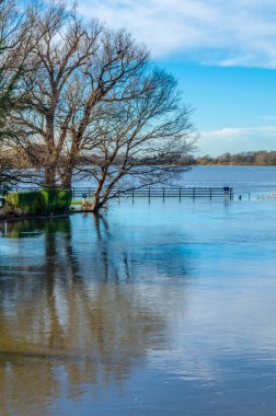 View of the River Great Ouse in the town of St Ives, Cambridgeshire, England