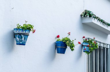 Flower pots decorating typical Andalusian houses in Mijas, Malaga province, southern Spain