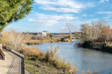 TALAVERA DE LA REINA, İSPA - 19 Aralık 2021: Tagus Nehri üzerinde, Talavera de la Reina, Castilla-La Mancha, İspanya 'da bulunan, kablo destekli bir köprü. 2007-2011 yılları arasında inşa edilen mimar Francisco Sanchez de