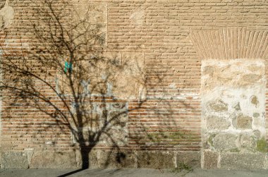 Background of branches shadow on a building facade