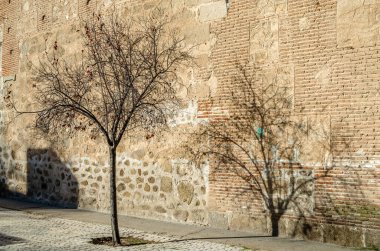Background of branches shadow on a building facade