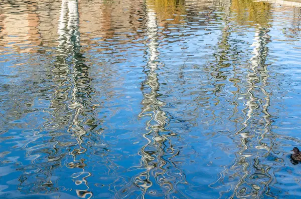自然の背景 公園の池の木々の反射 — ストック写真