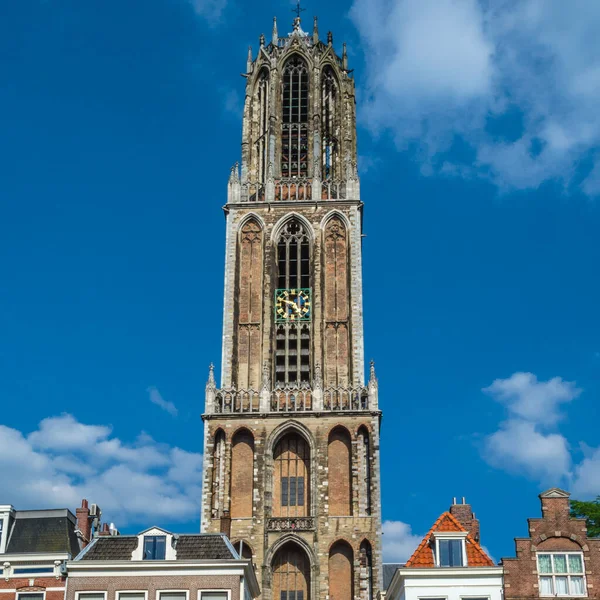 Pohled Katedrálu Martina Nebo Dom Church Gotický Kostel Utrechtu Nizozemsko — Stock fotografie