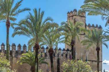 Alcazar de los Reyes Cristianos (İspanyolca: 