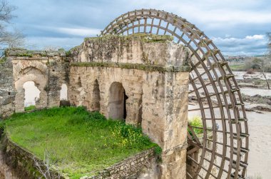 Mill of the Albolafia (İspanyolca: Molino de la Albolafia), İspanya 'nın Endülüs eyaletinin C0rdoba kentinde yer alan Guadalquivir Nehri boyunca bulunan bir ortaçağ su çarkı.