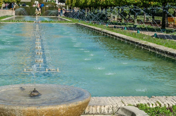 Cordoba Spagna Febbraio 2014 Visitando Gli Splendidi Giardini Dell Alcazar — Foto Stock