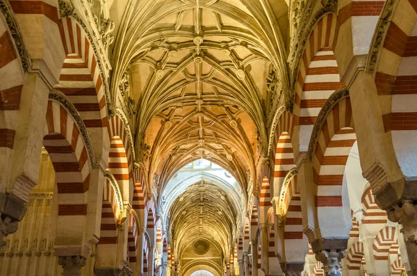 stock image CORDOBA, SPAIN - FEBRUARY 15, 2014: Columns and double-tiered arches in the interior of the Mosque-Cathedral of Cordoba, Andalusia, southern Spain