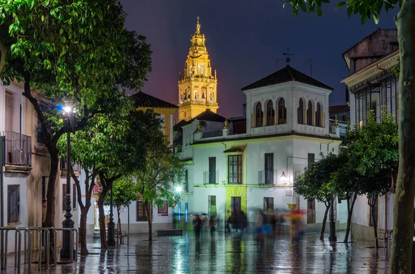 Nattutsikt Över Cordoba Spanien Med Tornet Moskén Katedralen Bakgrunden — Stockfoto