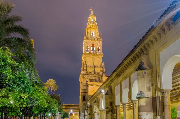 Vista Noturna Córdoba Espanha Com Torre Mesquita Catedral Fundo — Fotografia de Stock
