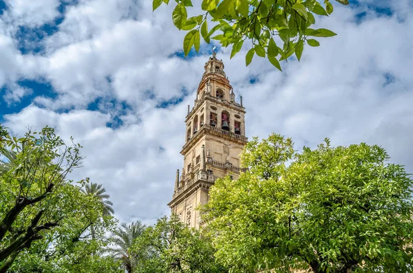 stock image Outside view of the Mosque Cathedral of Cordoba, Andalusia, southern Spain